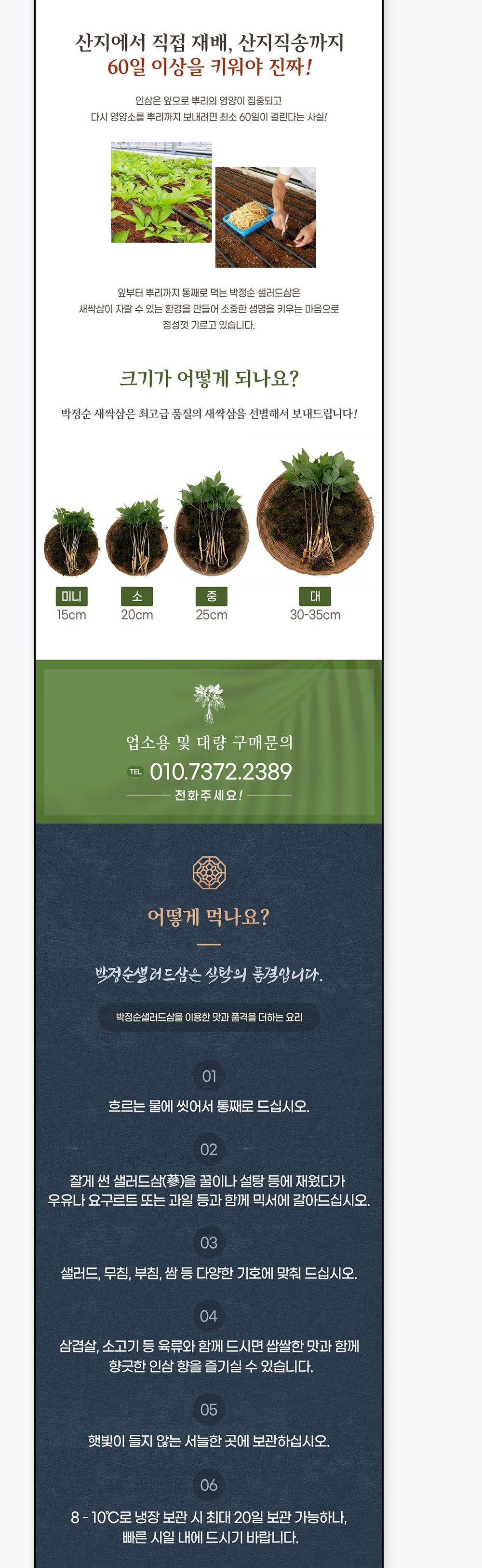 새싹삼 재배 방법 안내 및 먹는 방법 소개
