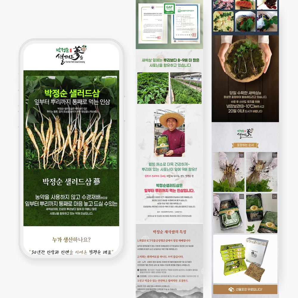 농산물 상세페이지 디자인, 박정순새싹삼 선물세트의 정보 구성 순서