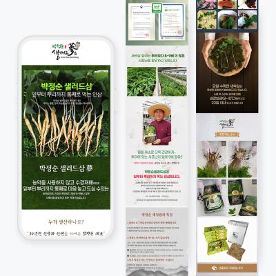 농산물 상세페이지 디자인, 박정순새싹삼 선물세트의 정보 구성 순서