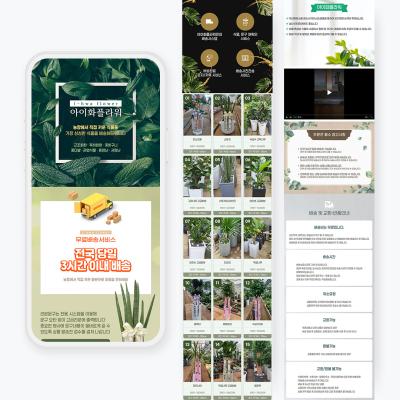 축하화분 상세페이지 디자인, 19종 화분을 가격과 크기로 비교하기 쉽게